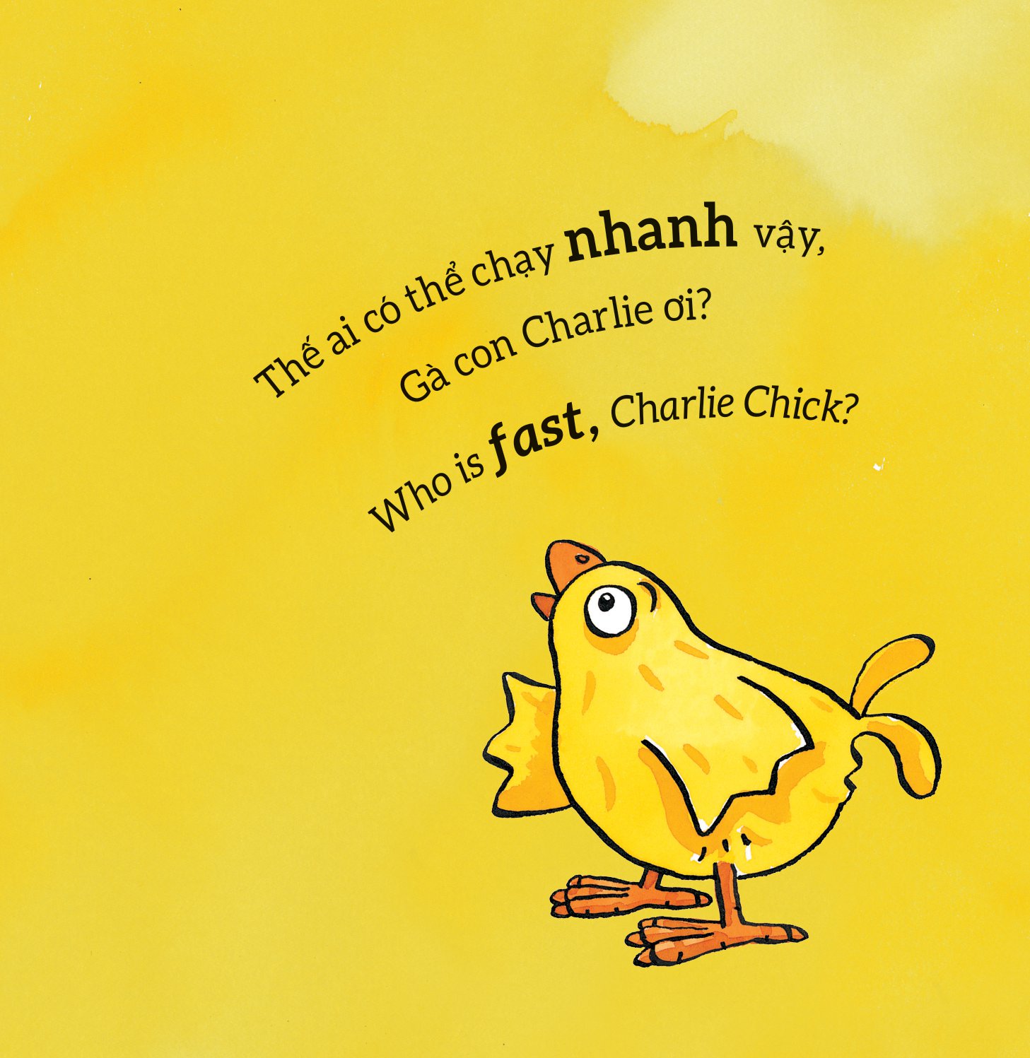 tương tác lật mở - các từ trái nghĩa - opposites