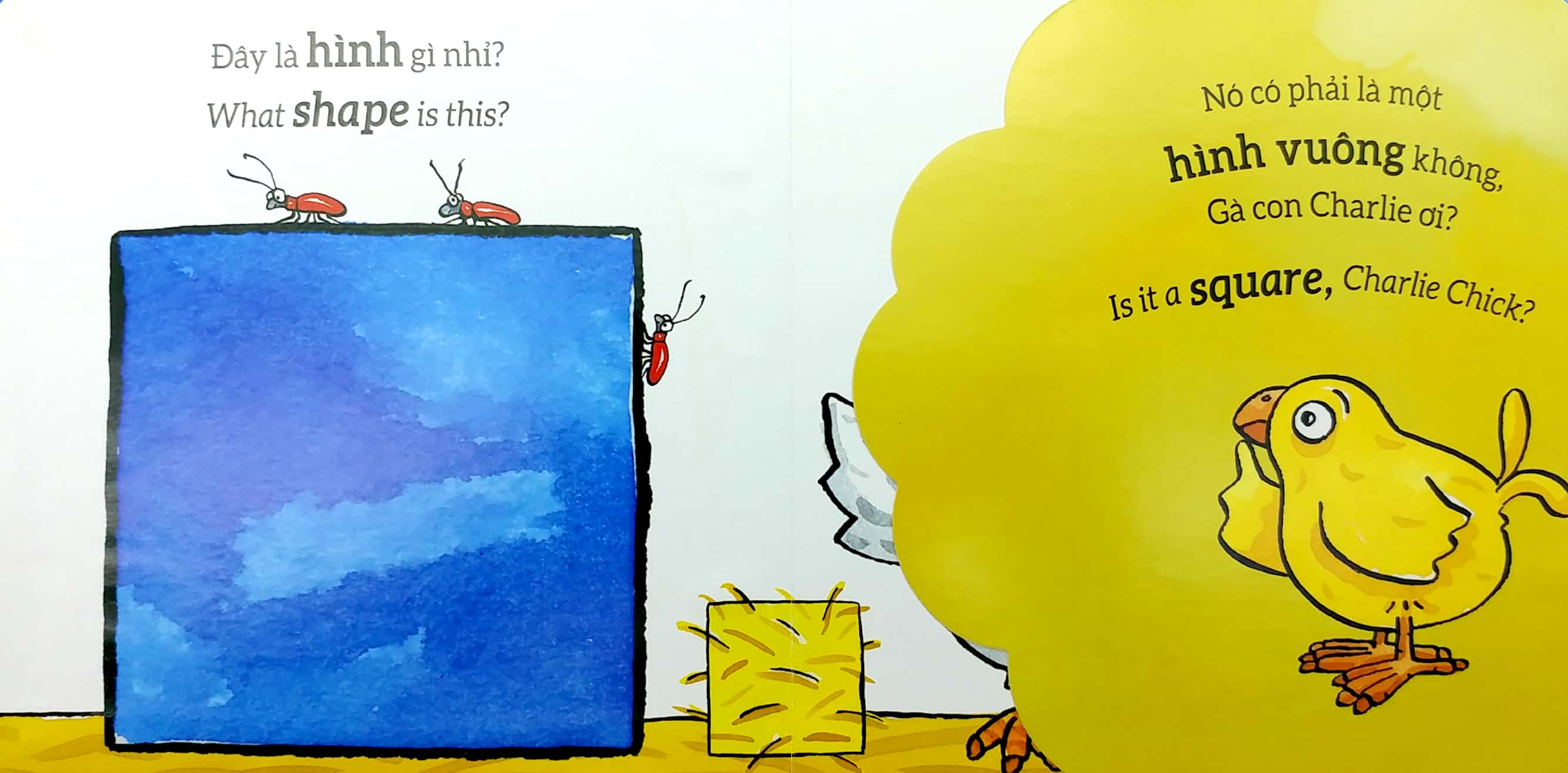 tương tác lật mở - hình dạng - shapes