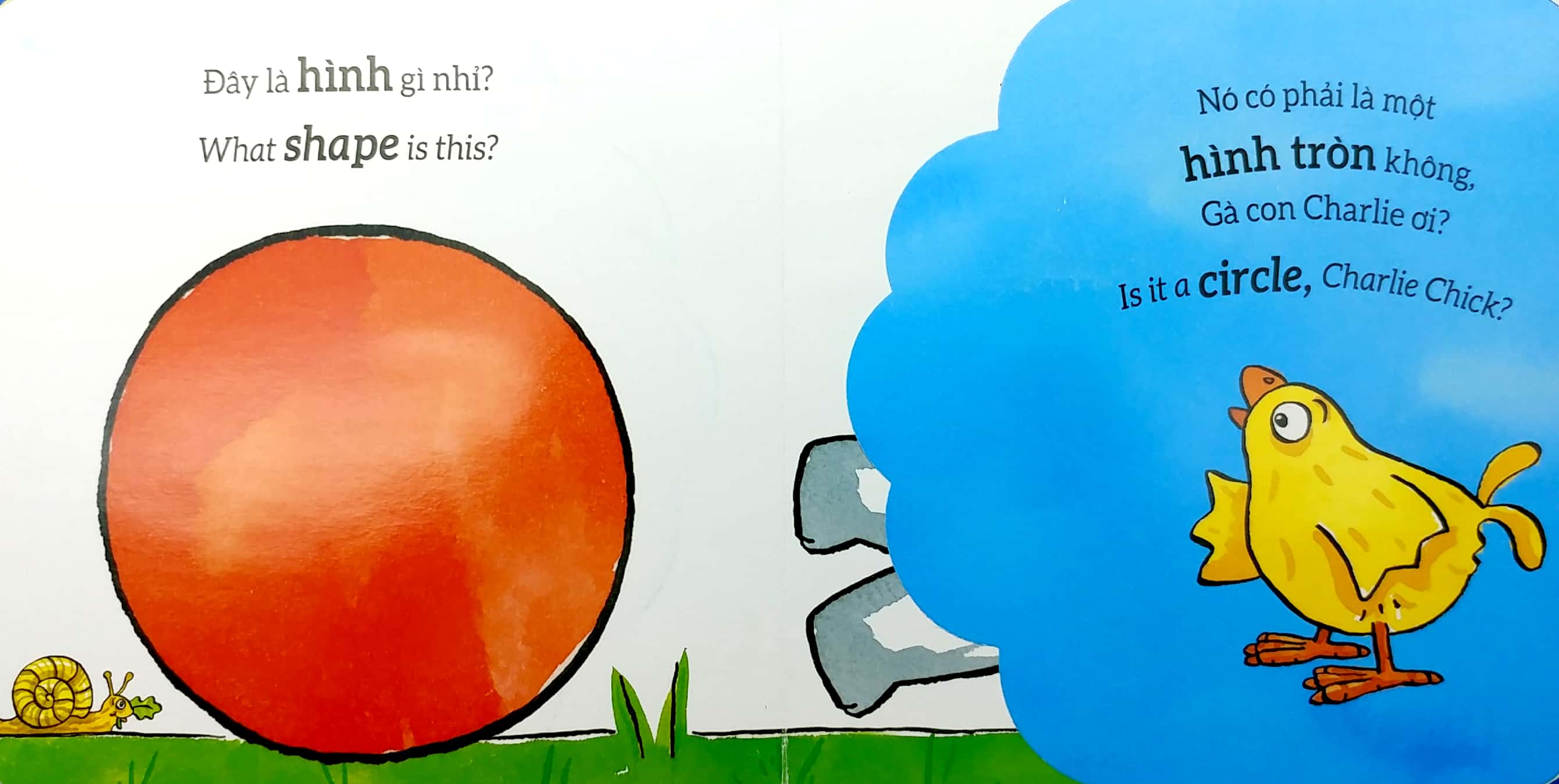 tương tác lật mở - hình dạng - shapes