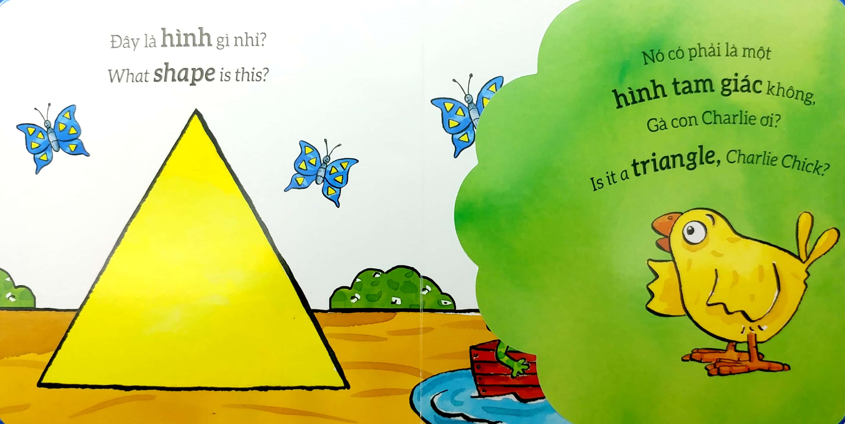 tương tác lật mở - hình dạng - shapes