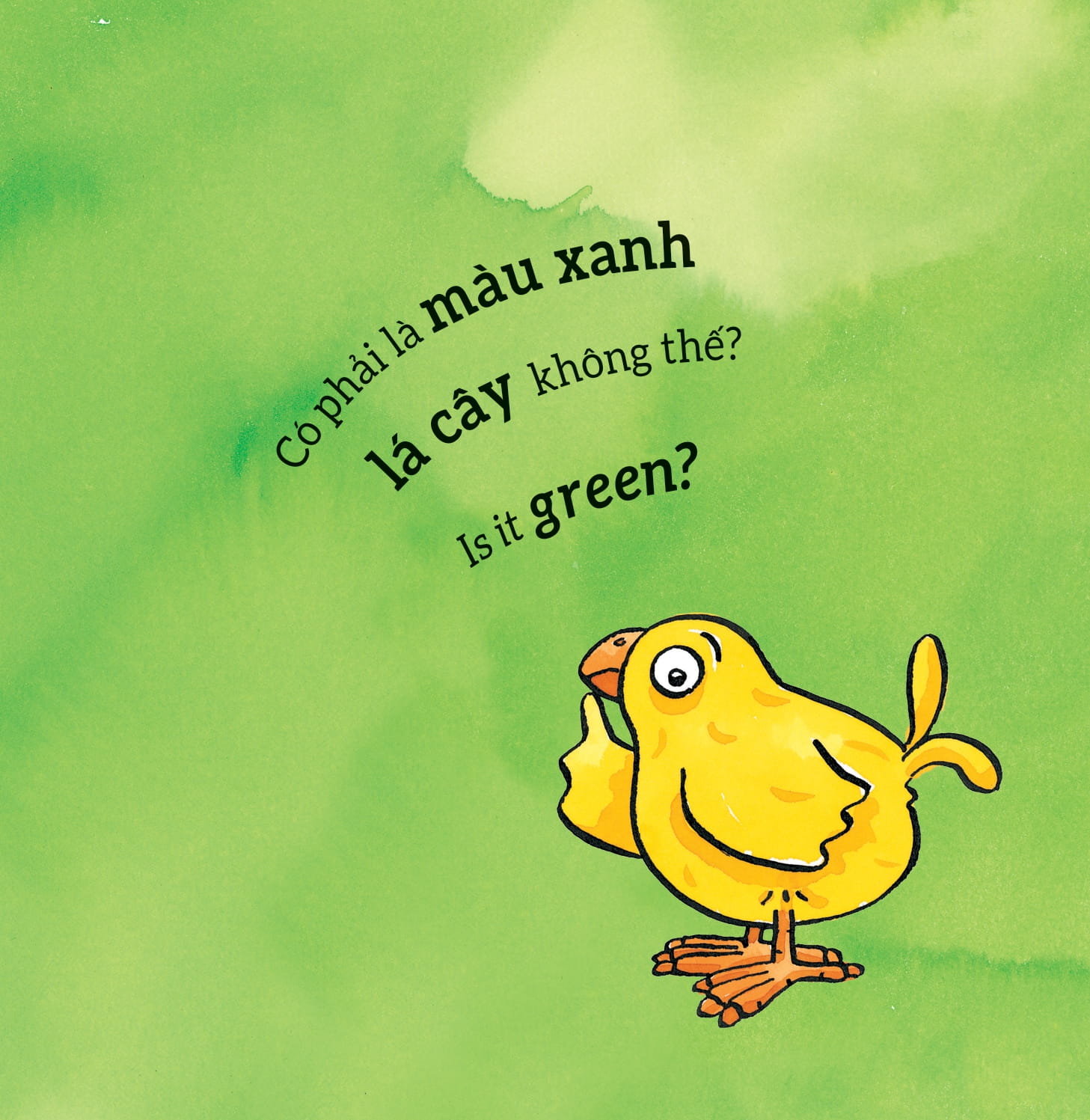 tương tác lật mở - màu sắc - colours