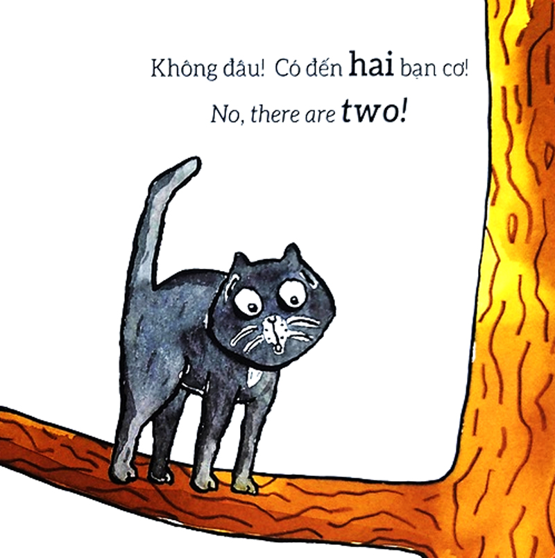 tương tác lật mở - số đếm - counting