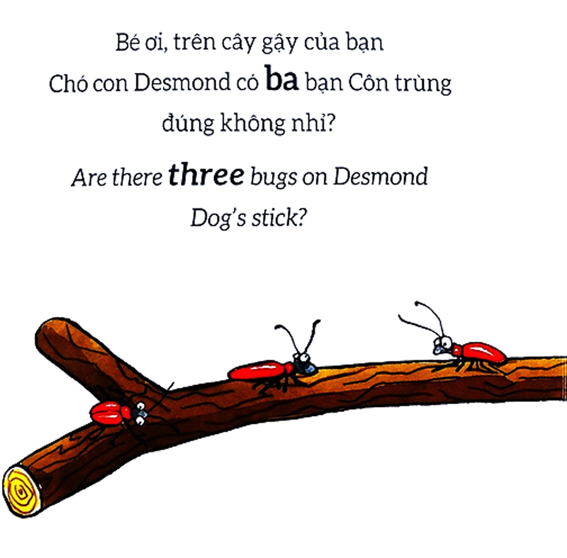 tương tác lật mở - số đếm - counting