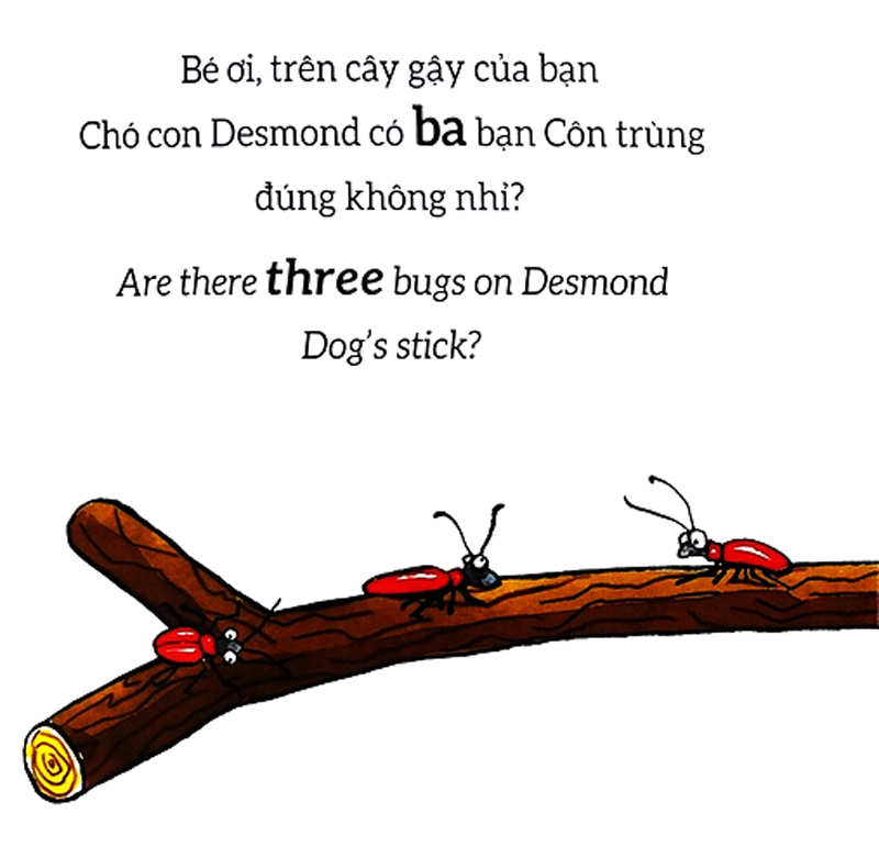 tương tác lật mở - số đếm - counting