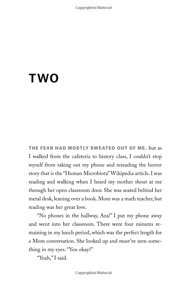 turtles all the way down paperback