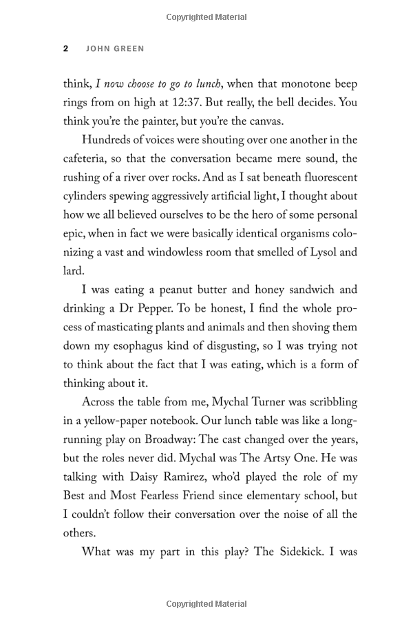 turtles all the way down paperback