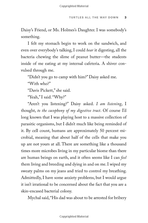 turtles all the way down paperback