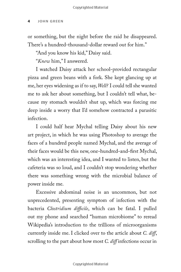 turtles all the way down paperback