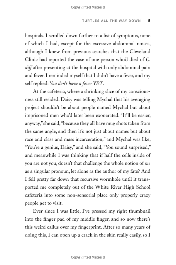 turtles all the way down paperback