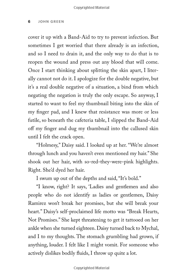 turtles all the way down paperback