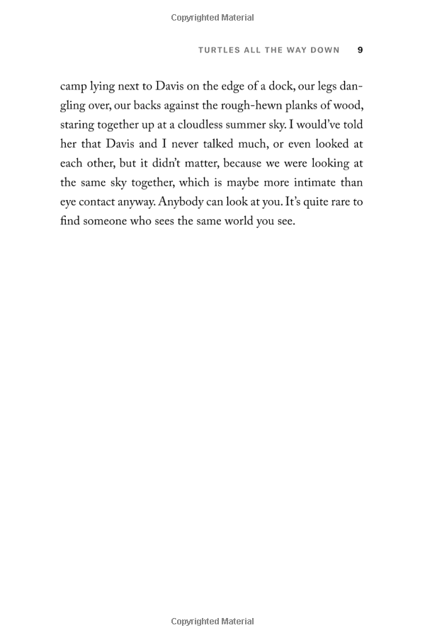 turtles all the way down paperback