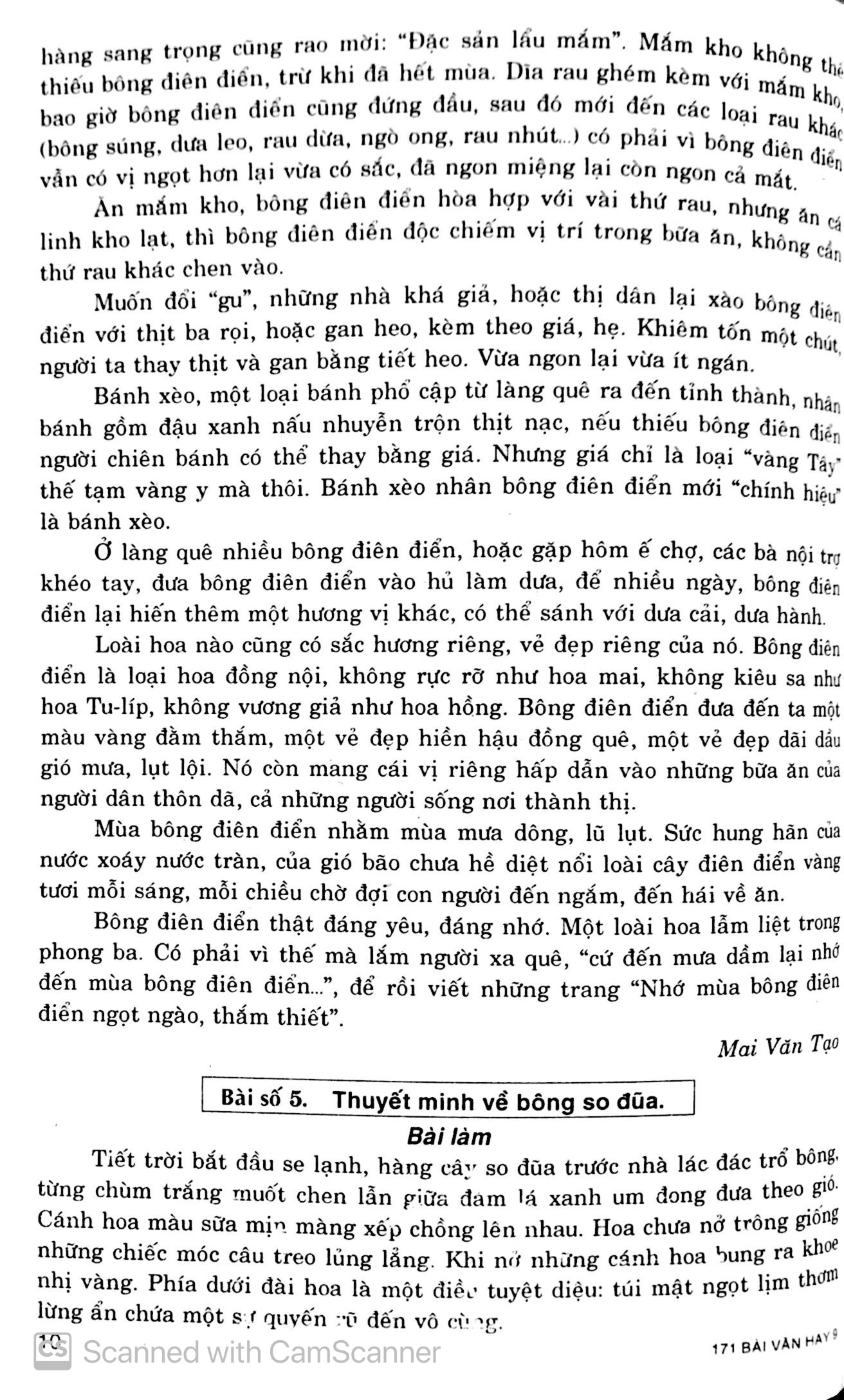 tuyển chọn 171 bài văn hay lớp 9