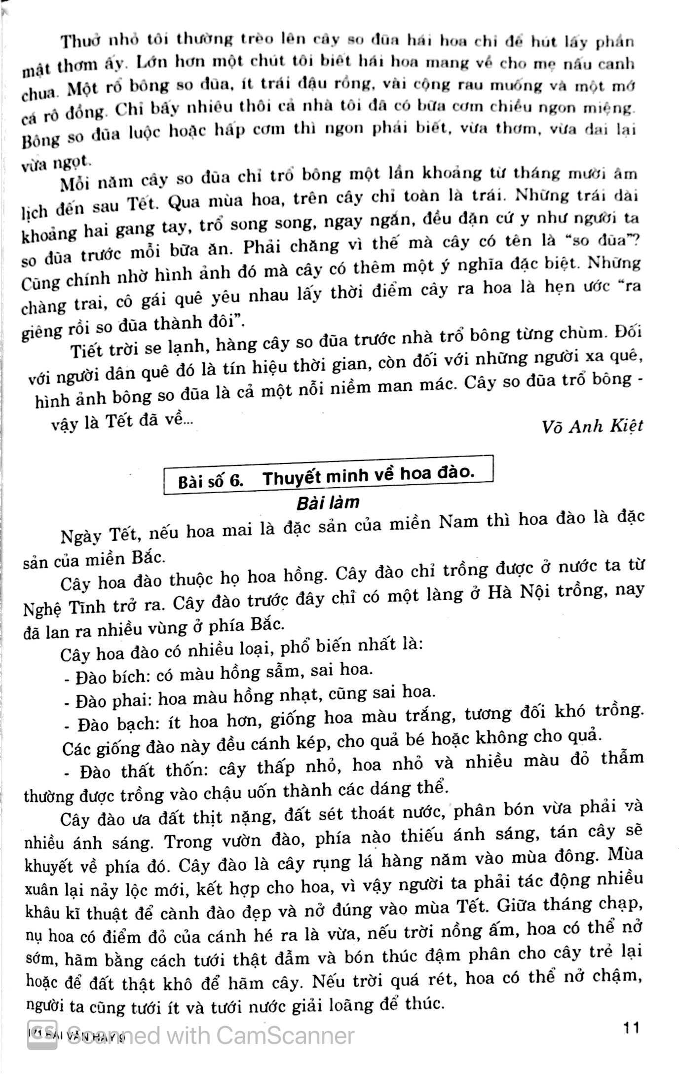 tuyển chọn 171 bài văn hay lớp 9