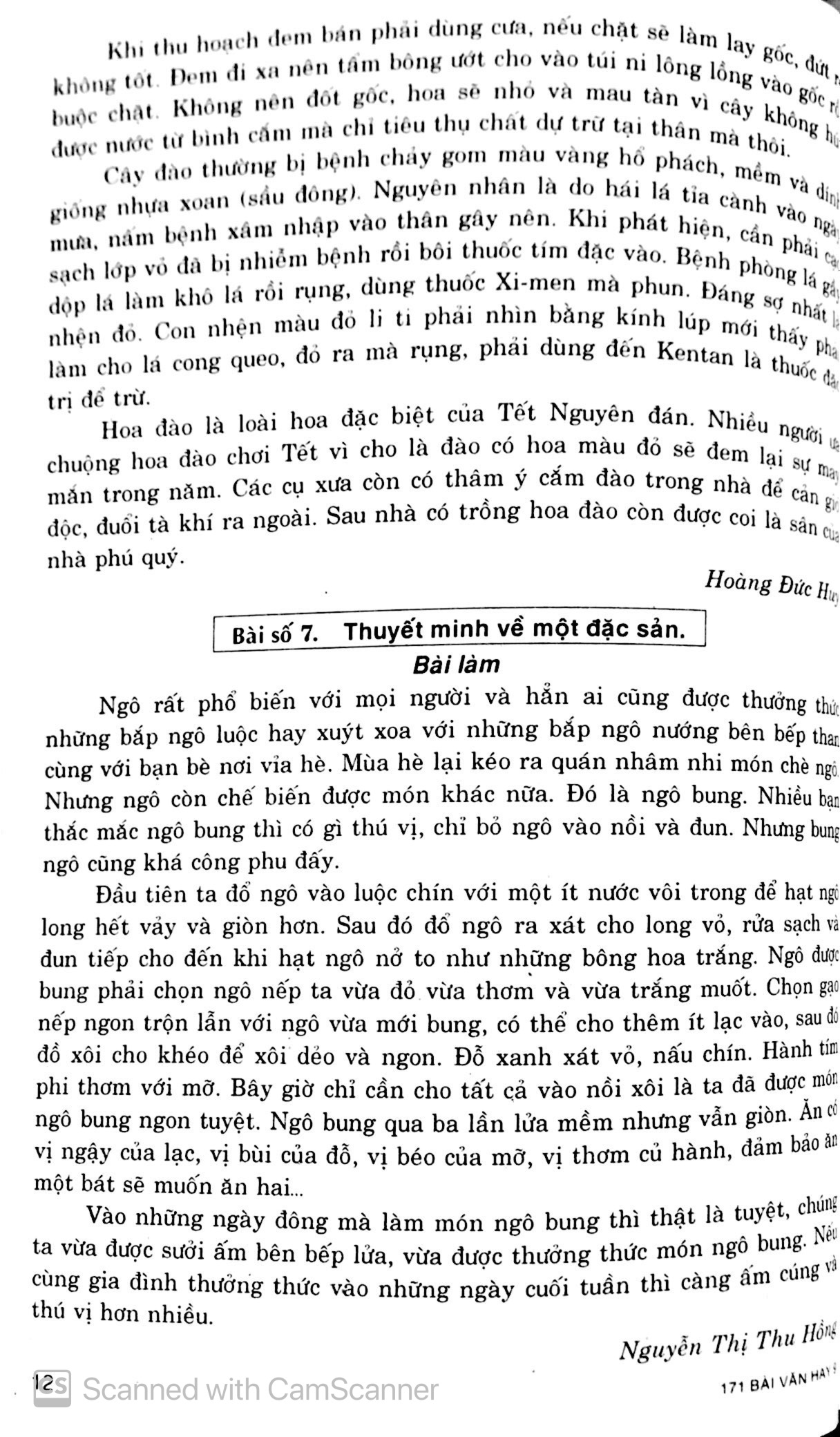 tuyển chọn 171 bài văn hay lớp 9