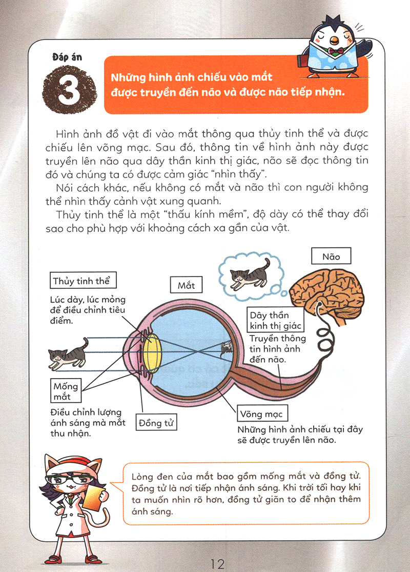 tuyển tập câu hỏi của học sinh tiểu học - về khoa học (tái bản 2019)