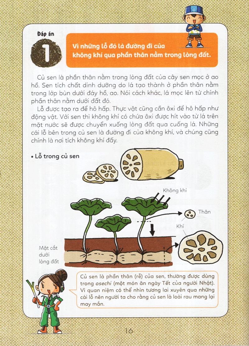 tuyển tập câu hỏi của học sinh tiểu học - về sự vật xung quanh (tái bản 2019)