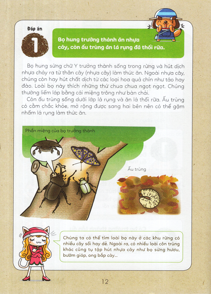 tuyển tập câu hỏi của học sinh tiểu học - về thắc mắc thường gặp (tái bản 2019)