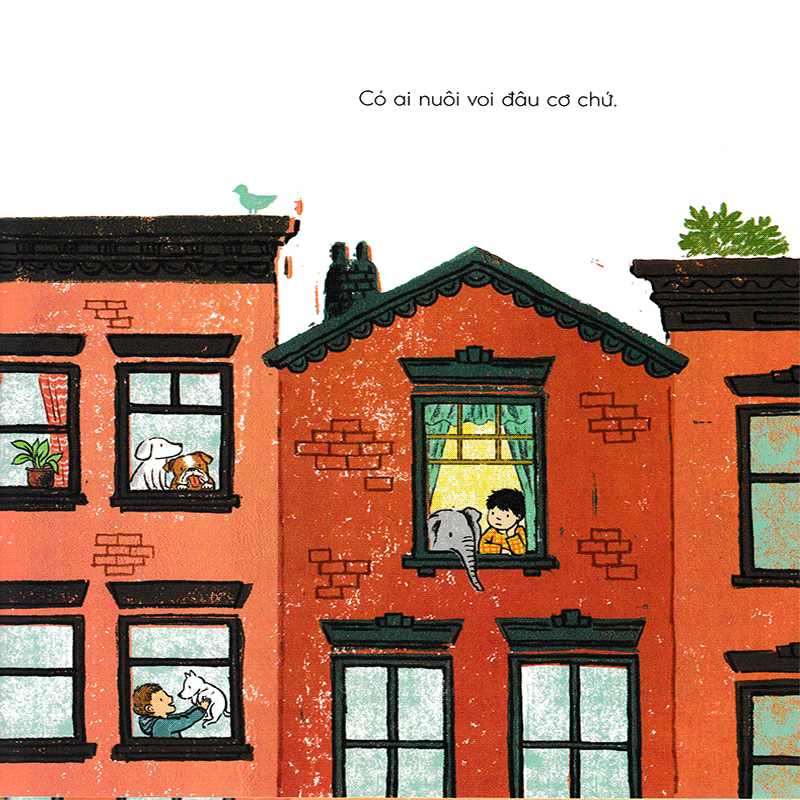 tuyệt đối cấm voi