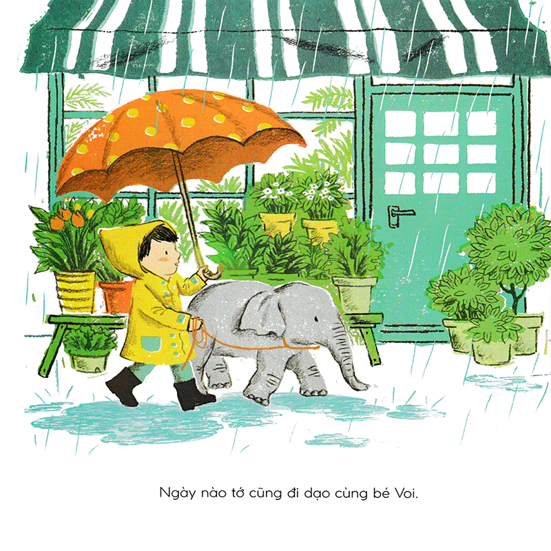 tuyệt đối cấm voi