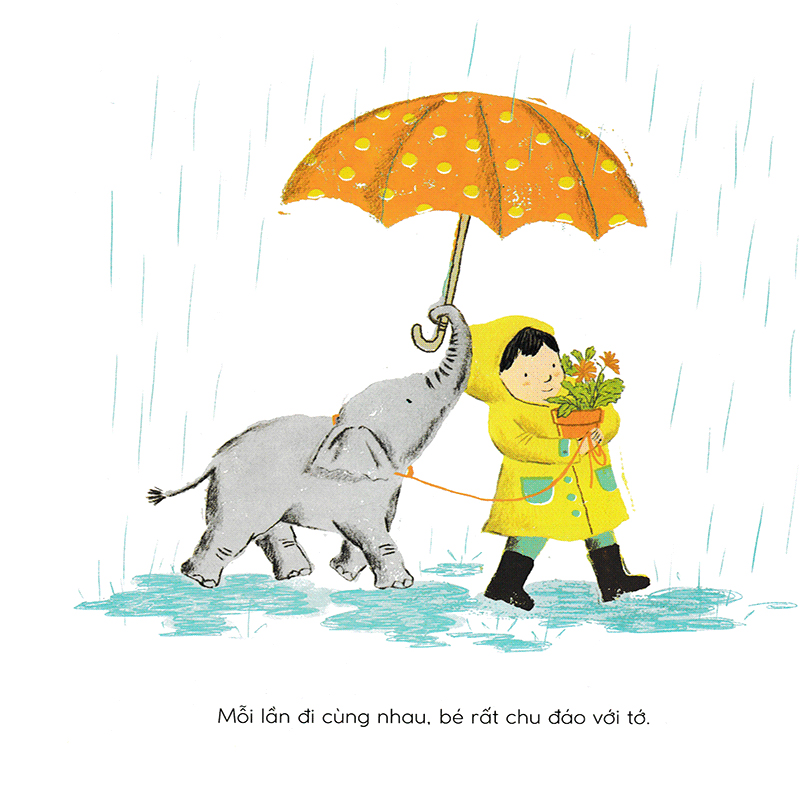 tuyệt đối cấm voi