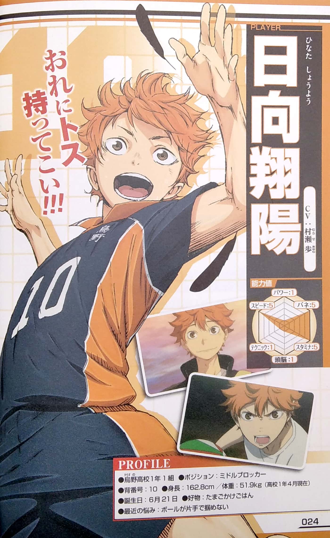 tvアニメ公式ガイドブック ハイキュー!! セイシュンメイカン!! - tv anime official guidebook haikyu !!