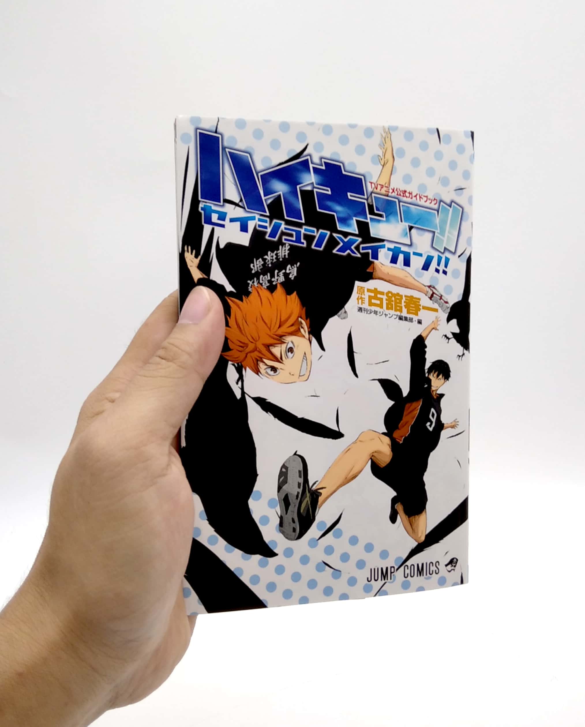tvアニメ公式ガイドブック ハイキュー!! セイシュンメイカン!! - tv anime official guidebook haikyu !!