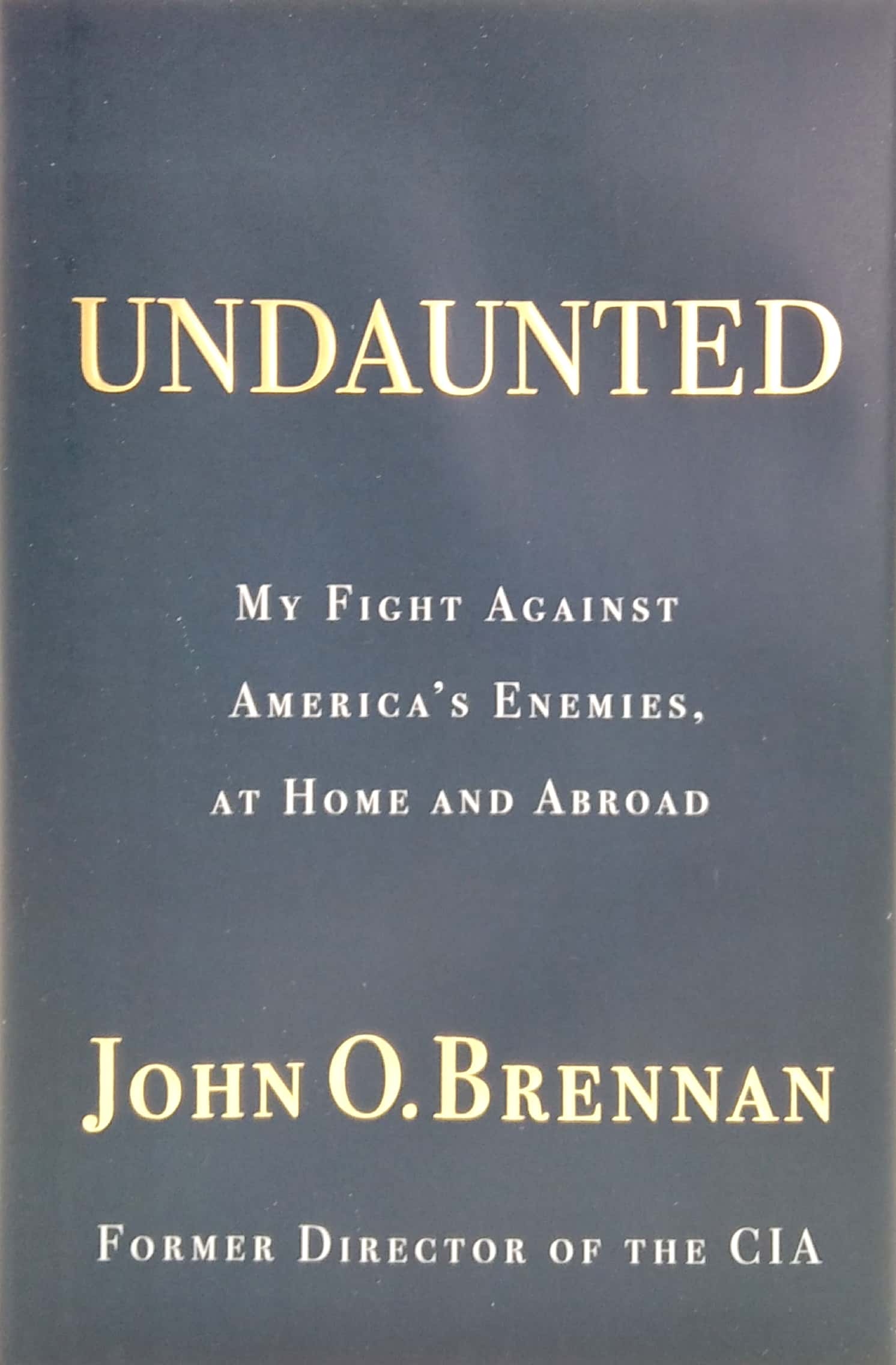 undaunted: my fight against america's enemies, at home and abroad