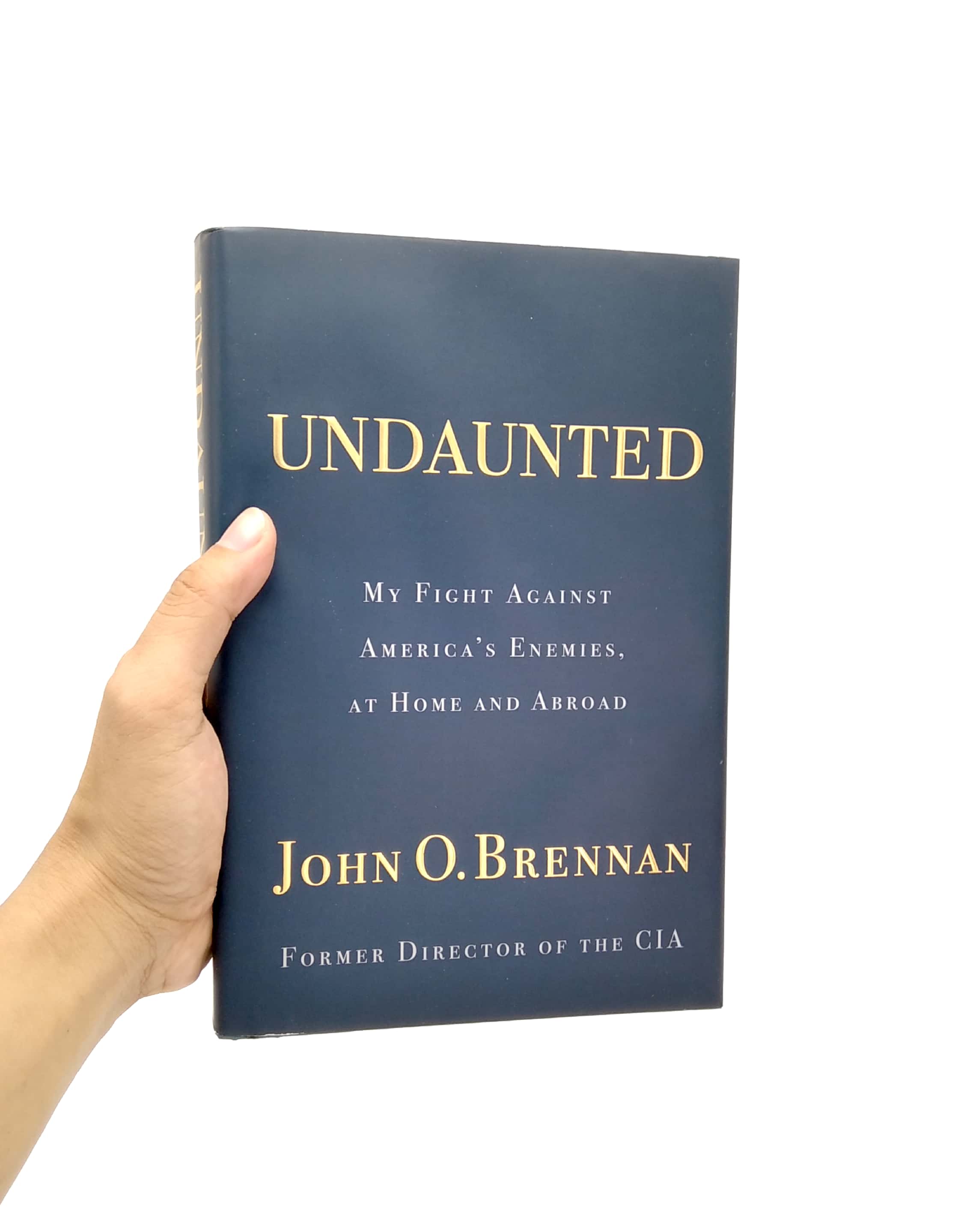 undaunted: my fight against america's enemies, at home and abroad