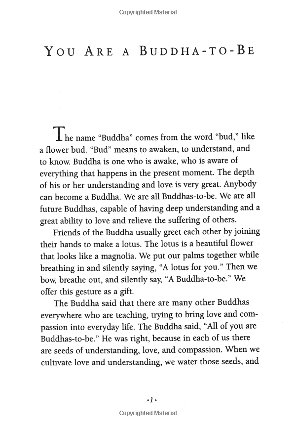 under the rose apple tree