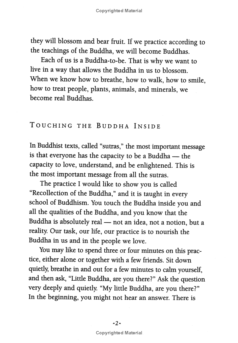 under the rose apple tree