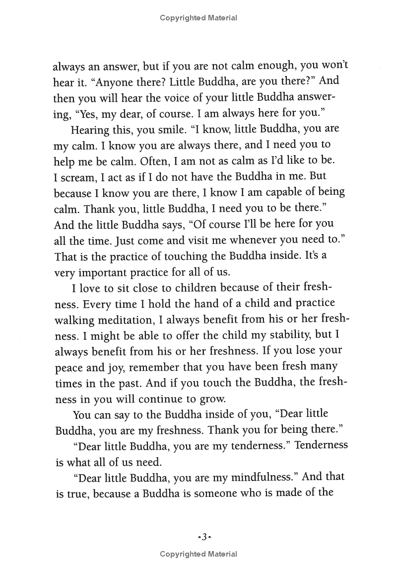 under the rose apple tree