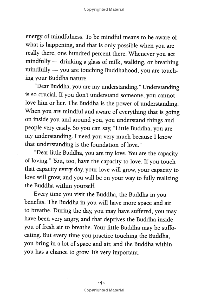 under the rose apple tree