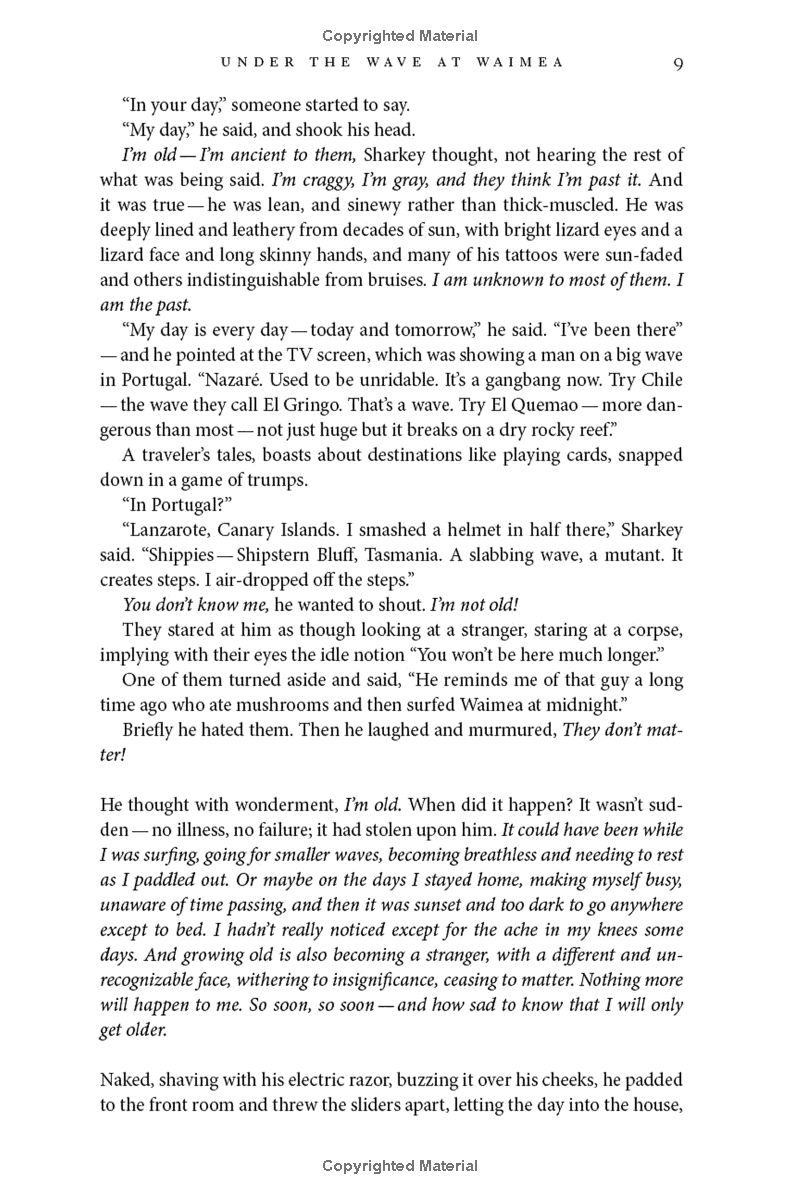 under the wave at waimea