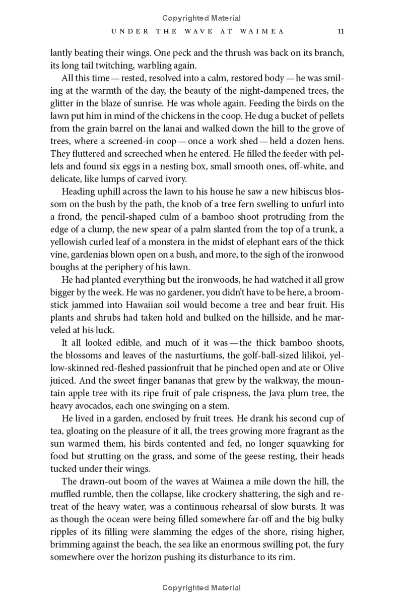 under the wave at waimea