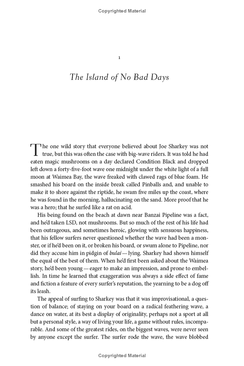 under the wave at waimea