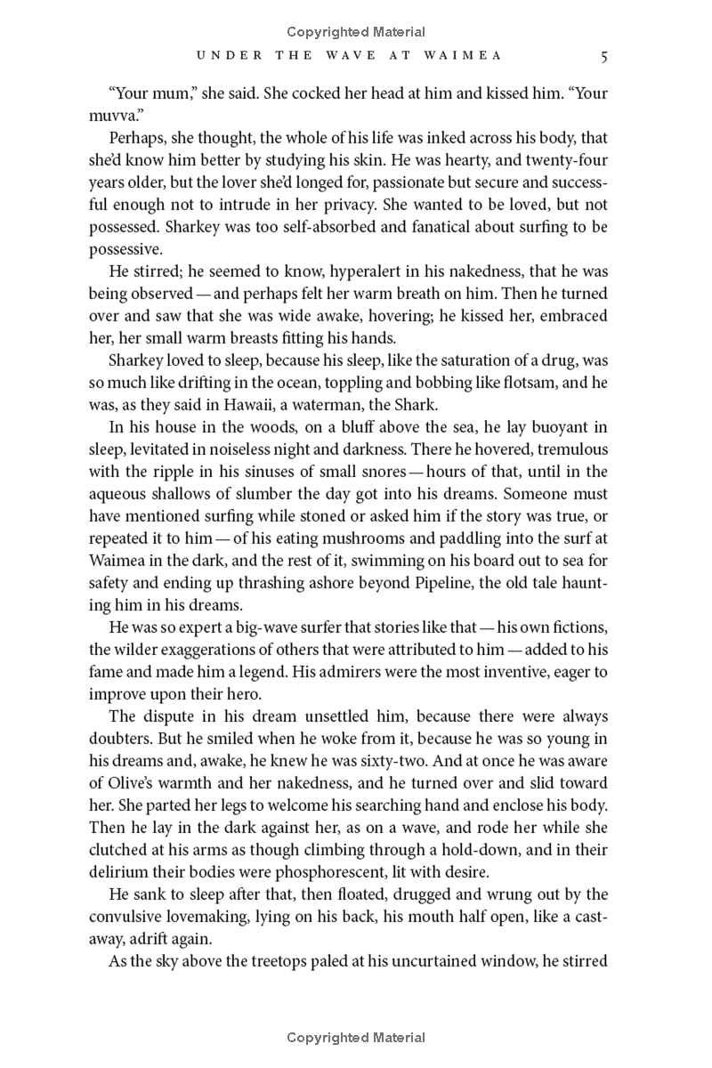 under the wave at waimea