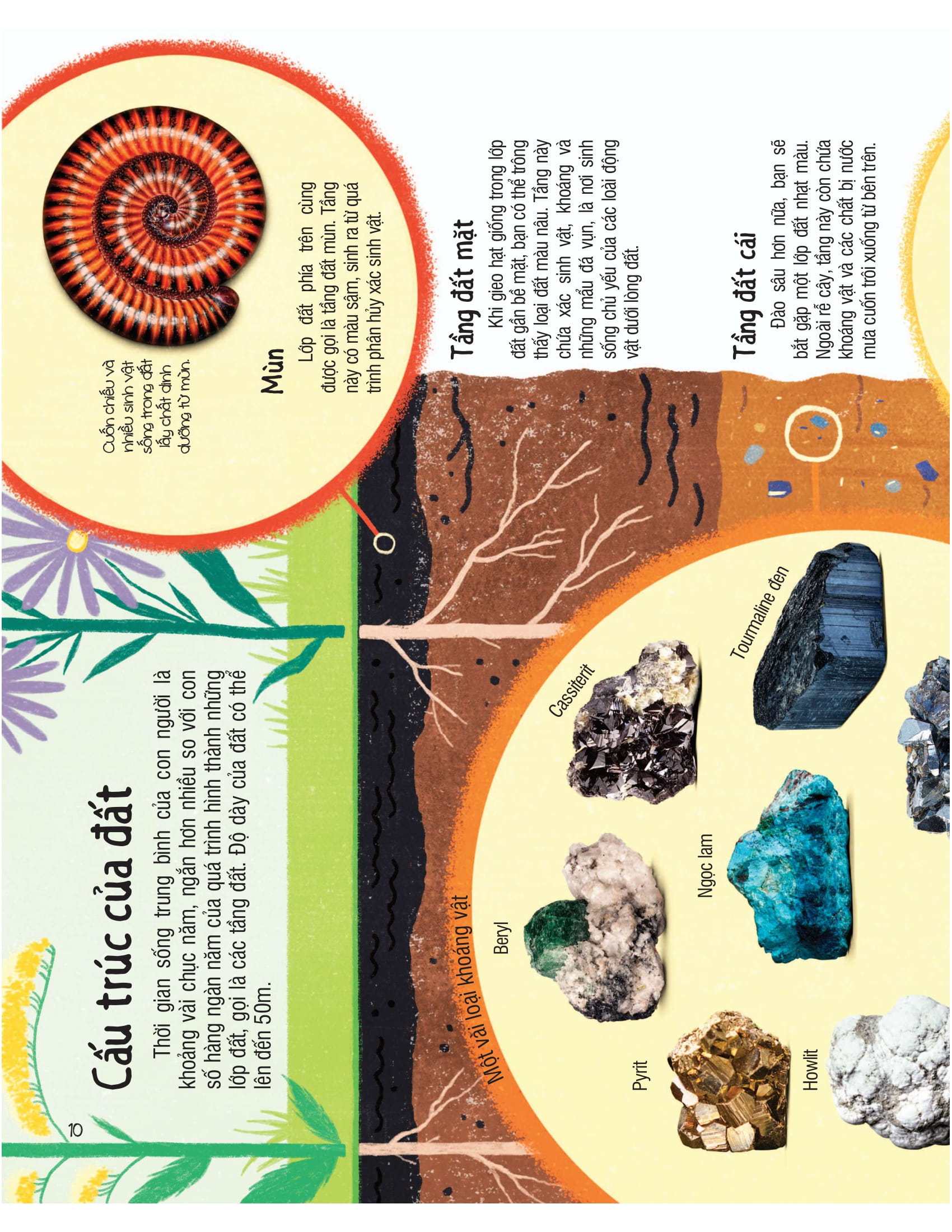 under your feet - dưới đôi bàn chân bạn - đất, cát và ti tỉ thứ dưới lòng đất