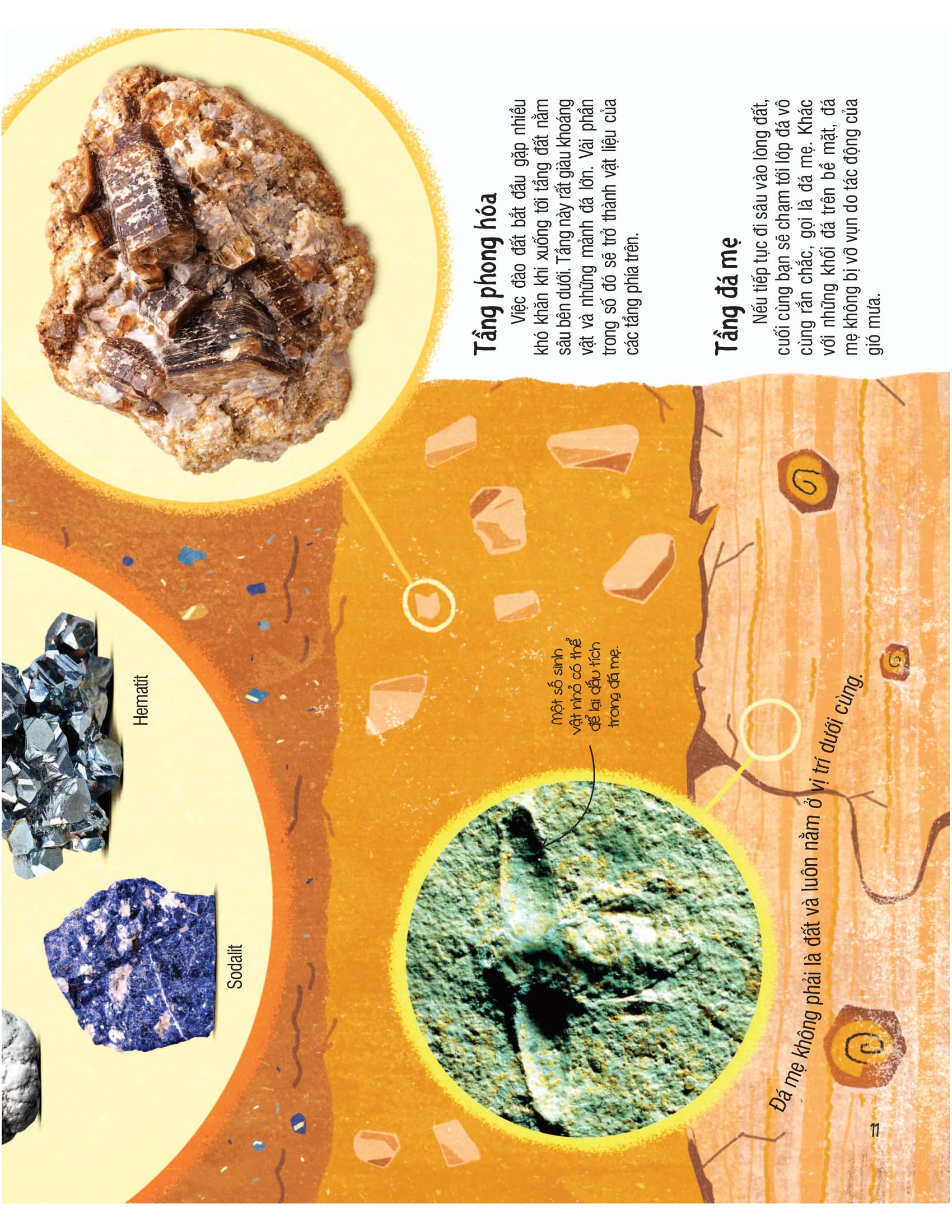 under your feet - dưới đôi bàn chân bạn - đất, cát và ti tỉ thứ dưới lòng đất