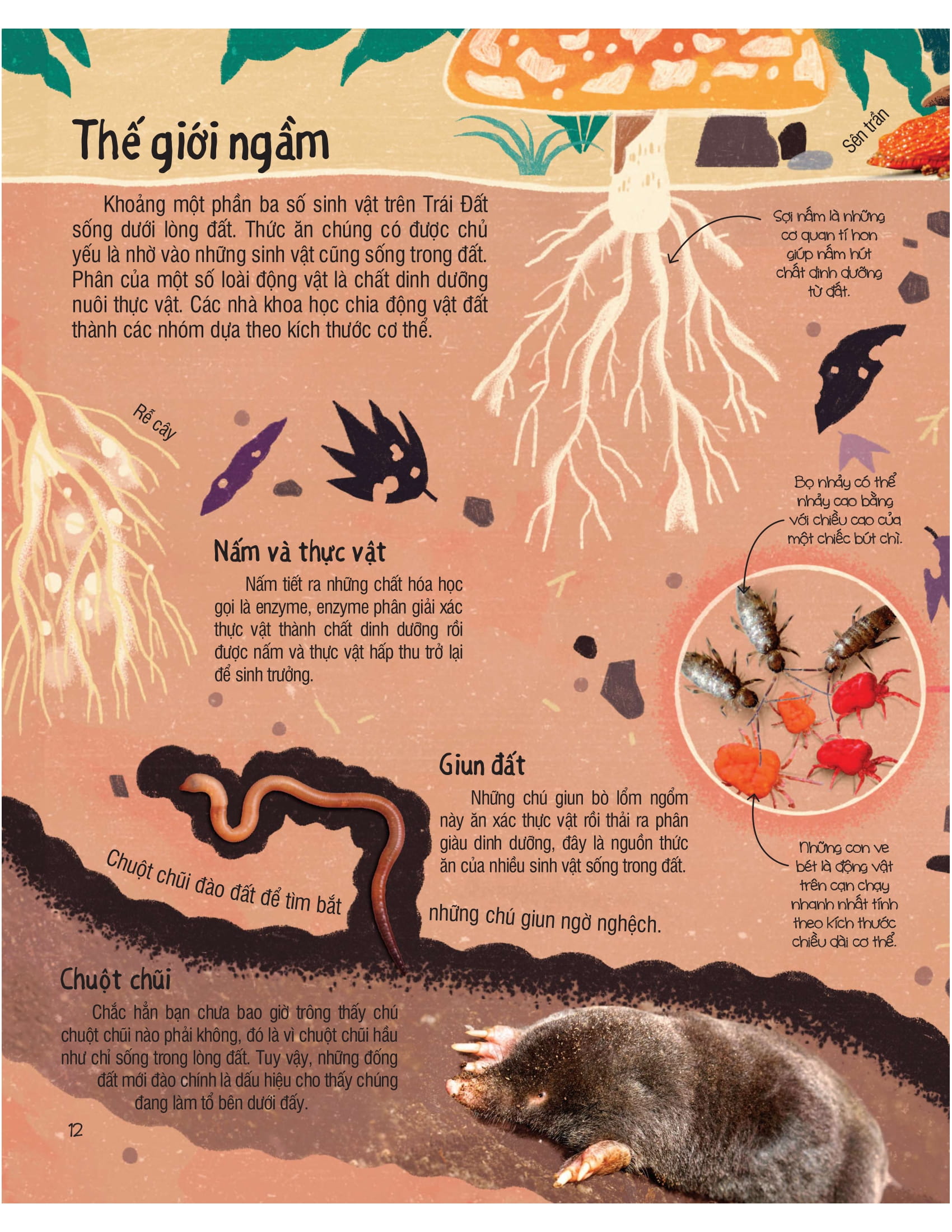 under your feet - dưới đôi bàn chân bạn - đất, cát và ti tỉ thứ dưới lòng đất