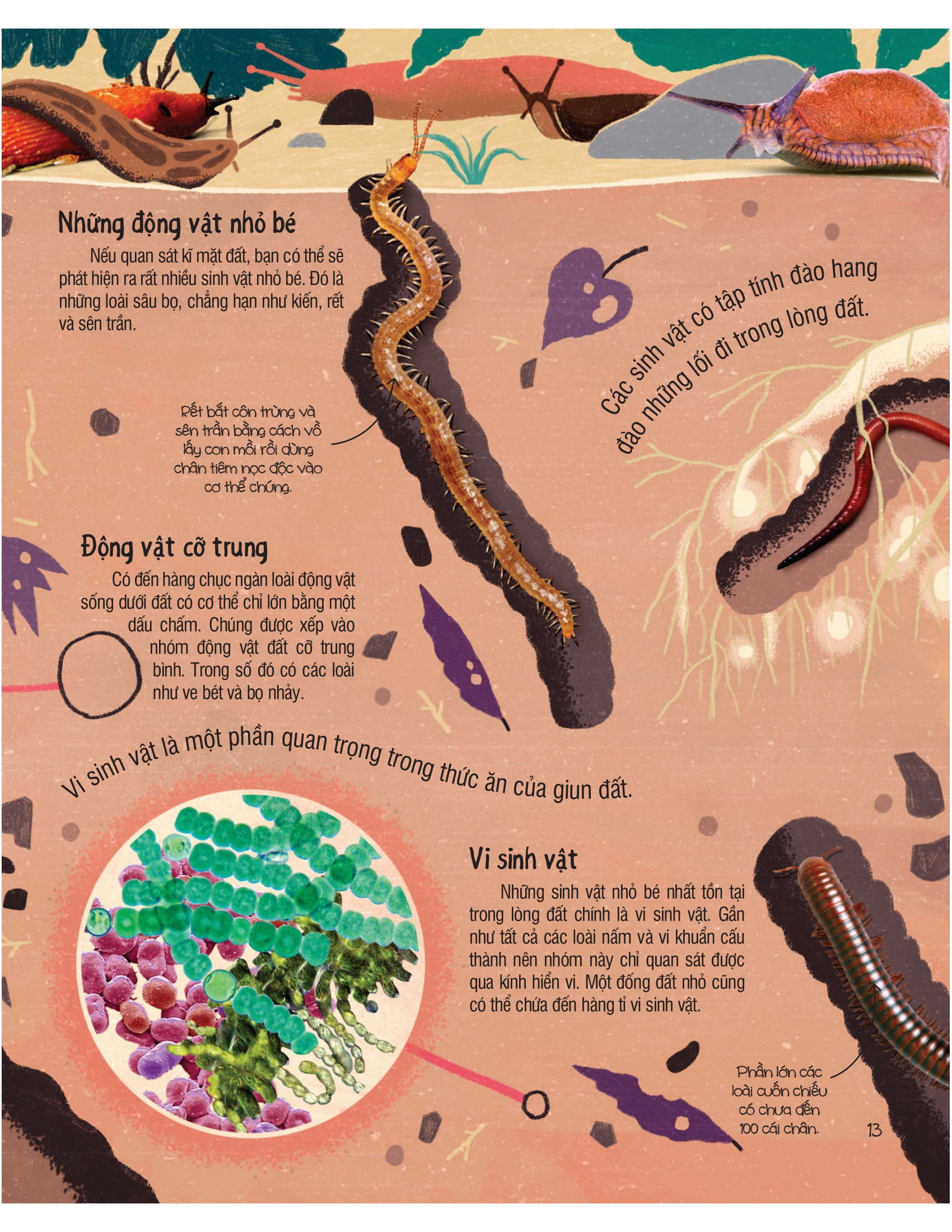 under your feet - dưới đôi bàn chân bạn - đất, cát và ti tỉ thứ dưới lòng đất