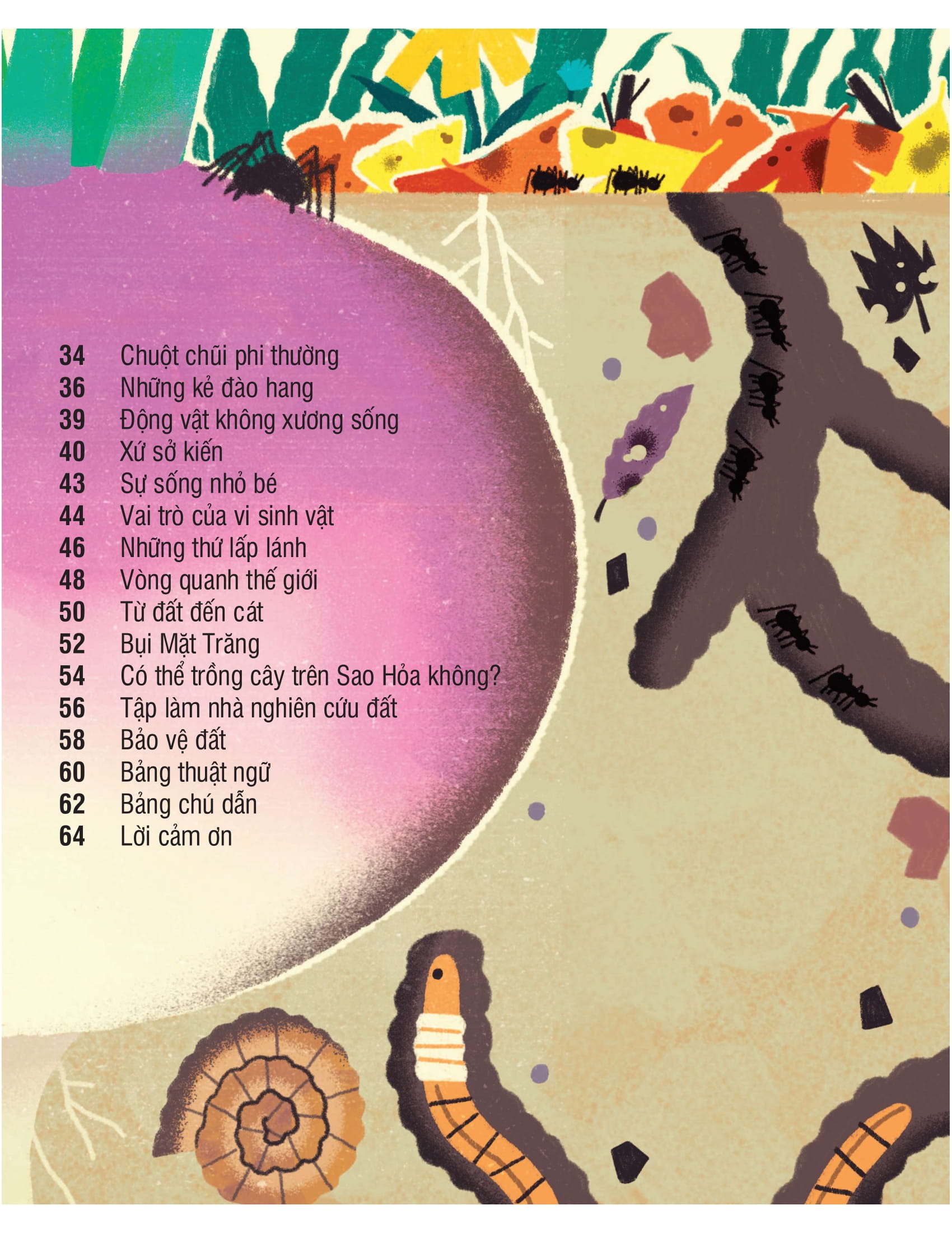 under your feet - dưới đôi bàn chân bạn - đất, cát và ti tỉ thứ dưới lòng đất