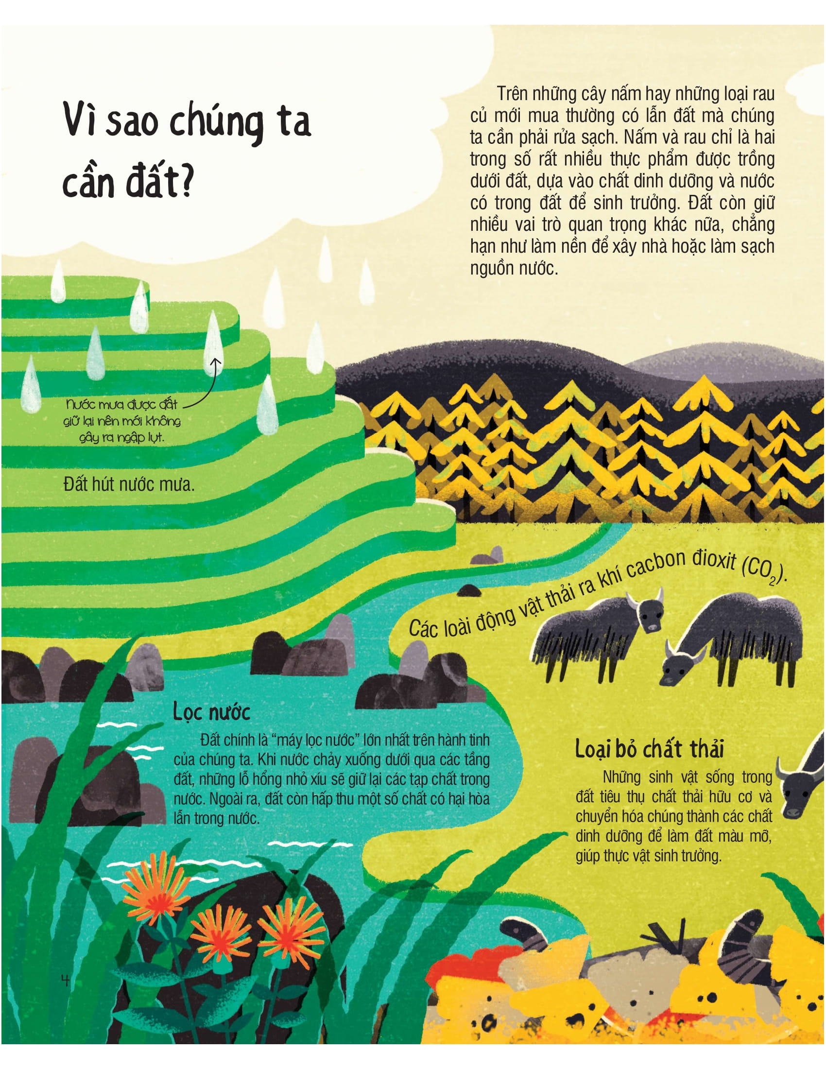 under your feet - dưới đôi bàn chân bạn - đất, cát và ti tỉ thứ dưới lòng đất