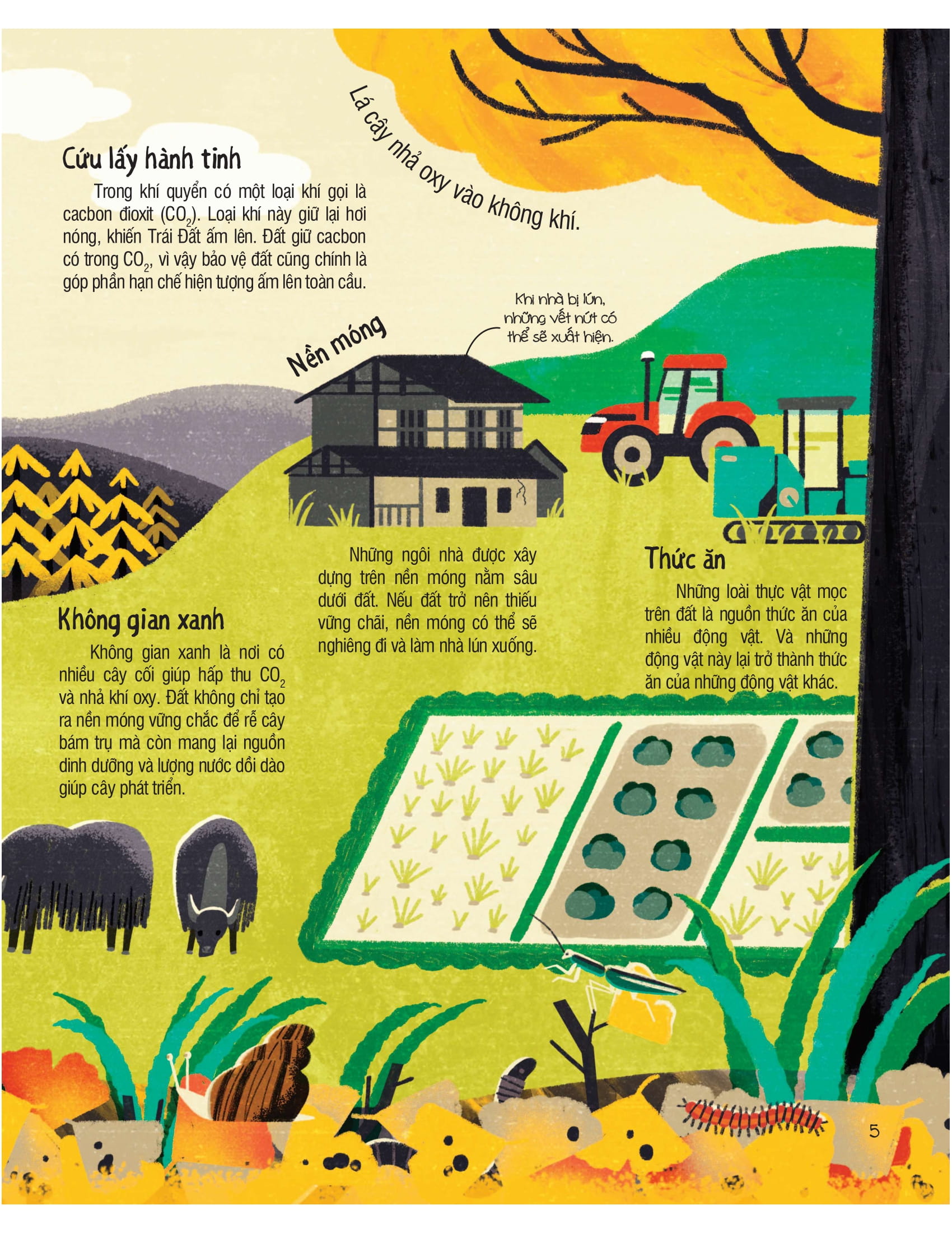 under your feet - dưới đôi bàn chân bạn - đất, cát và ti tỉ thứ dưới lòng đất