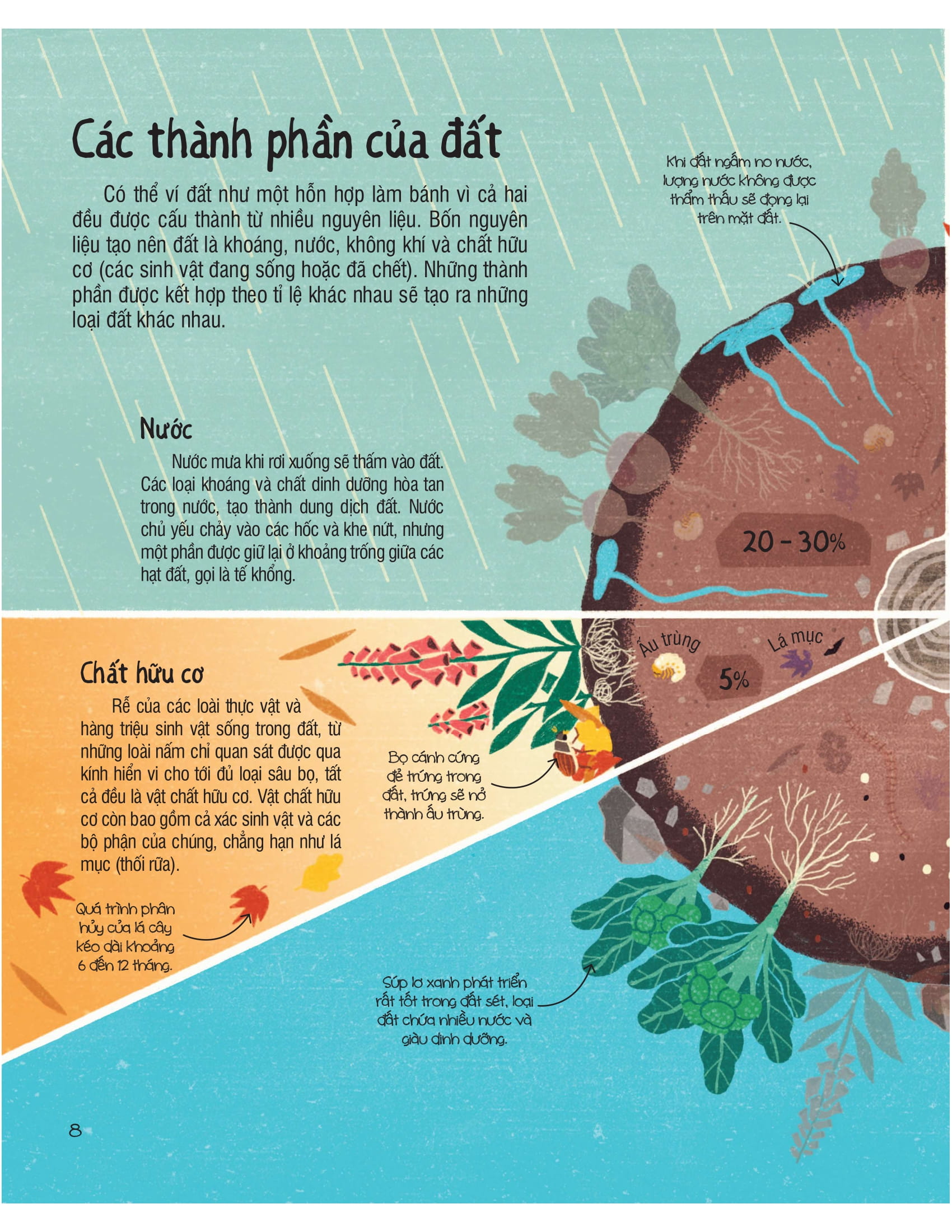 under your feet - dưới đôi bàn chân bạn - đất, cát và ti tỉ thứ dưới lòng đất