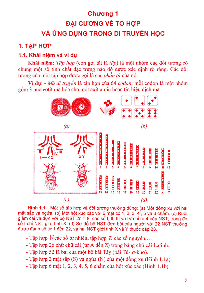 ứng dụng tổ hợp và xác suất trong giải bài tập di truyền