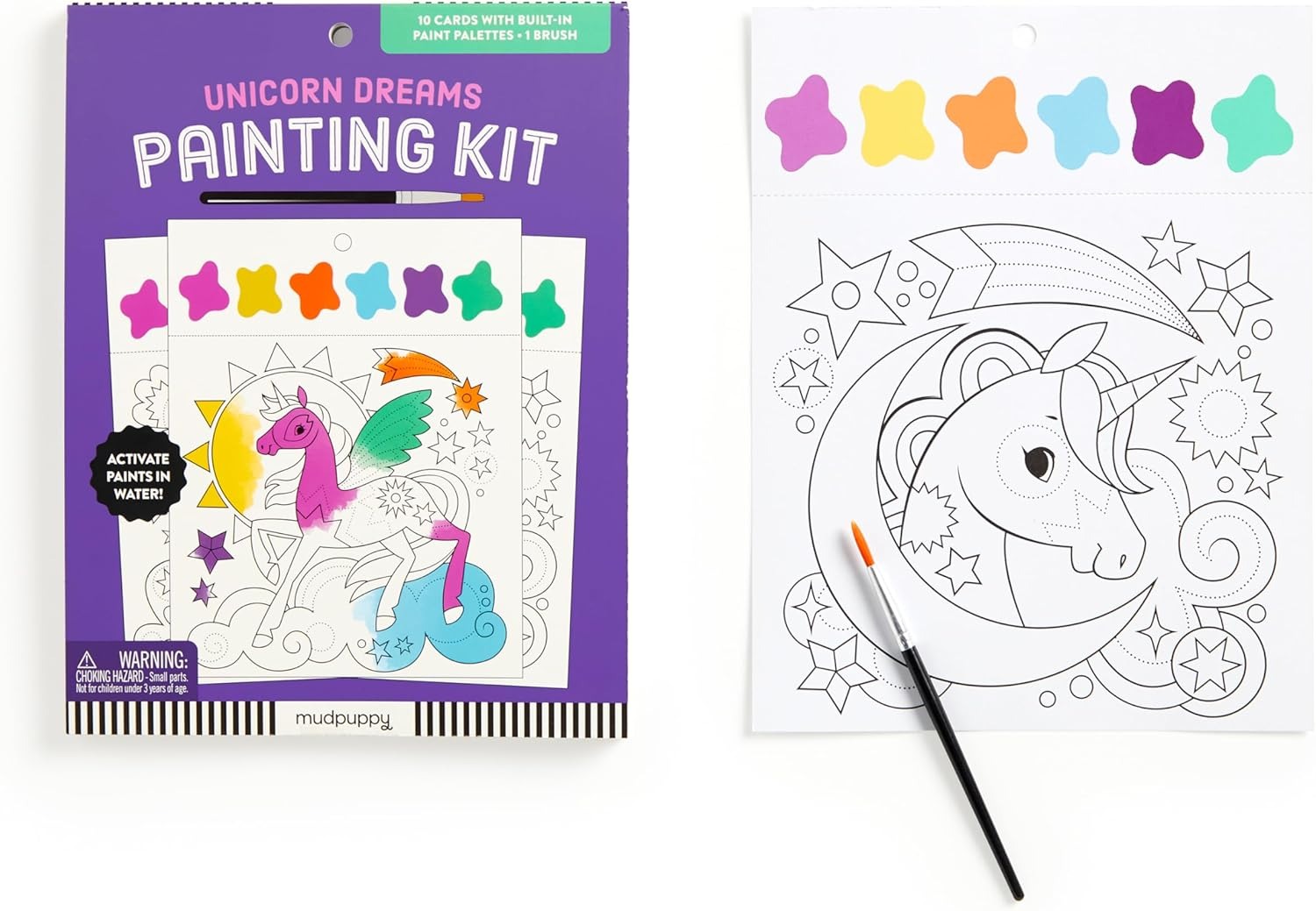 Unicorn Dreams Painting Kit