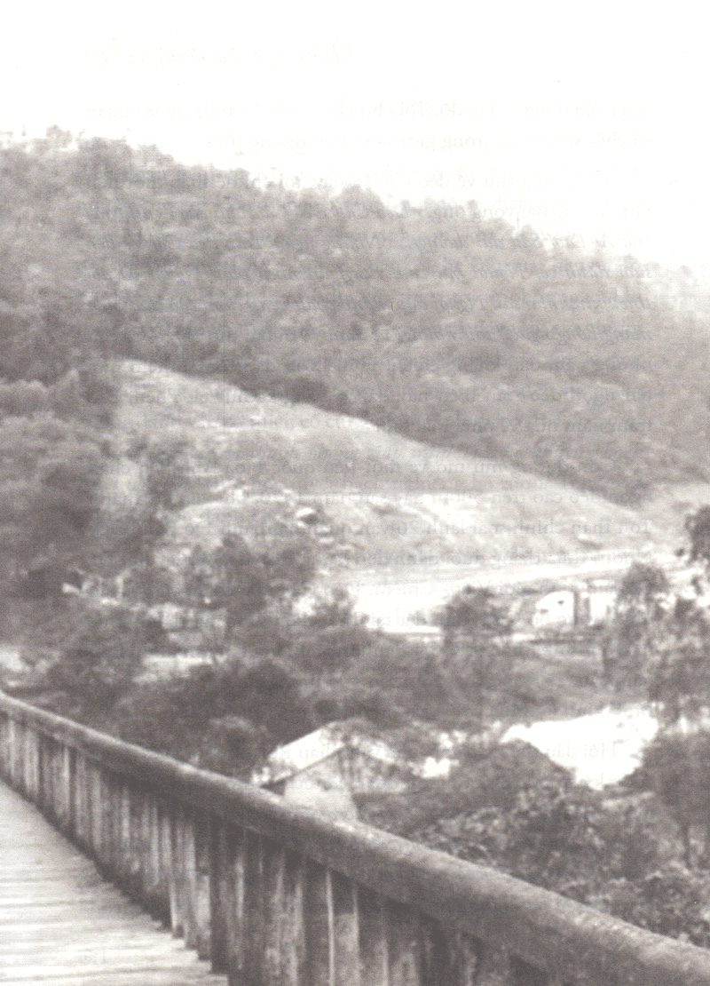 uống cafe trên đường của vũ