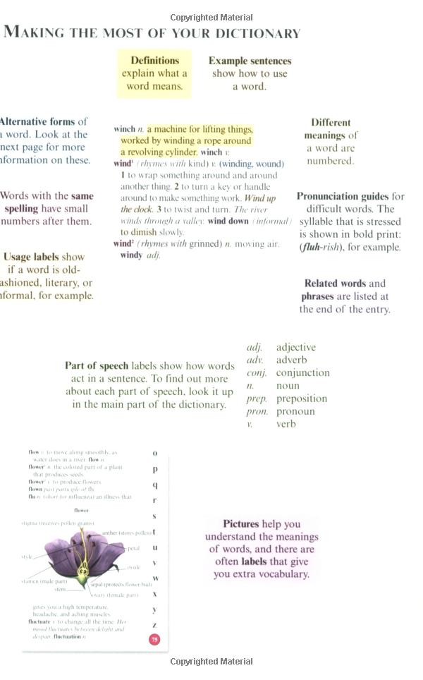 us kingfisher illustrated pocket dictionary