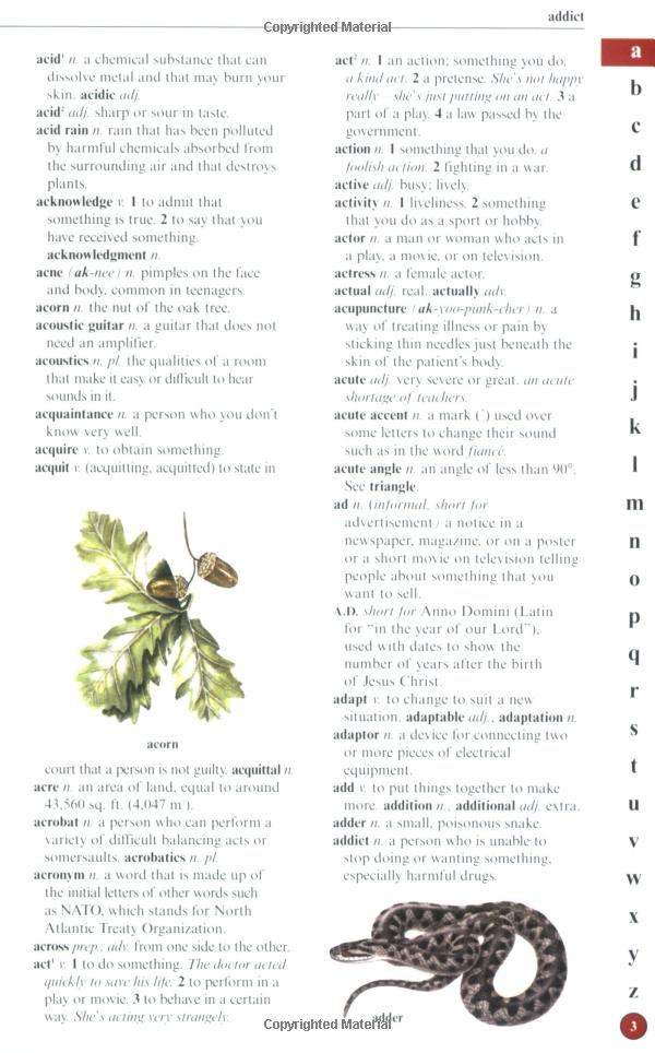 us kingfisher illustrated pocket dictionary