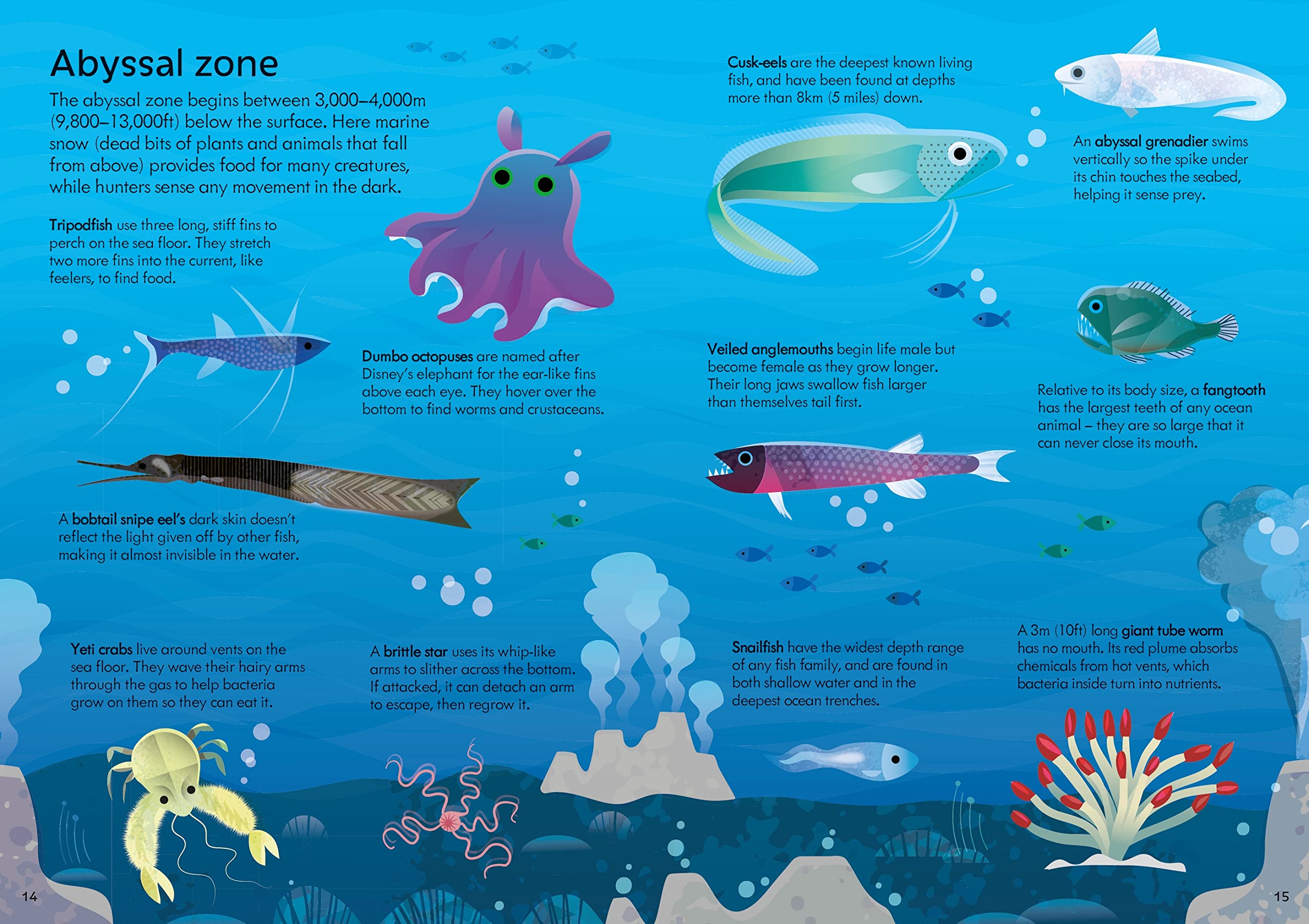 usborne book and jigsaw oceans